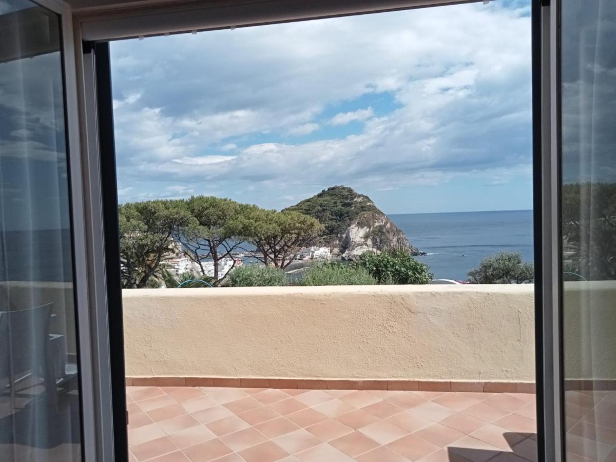 Parco Termale Tropical Bed & Breakfast Ischia Island Exterior photo